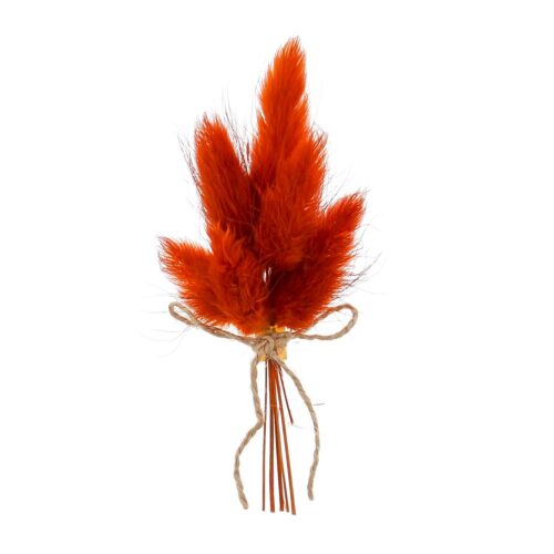droogbloemen met kleefstrip donker oranje